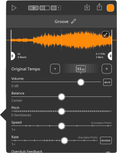 Audio clip details Loopy Pro 2.0