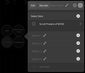 Radio Buttons set up with Select Item option