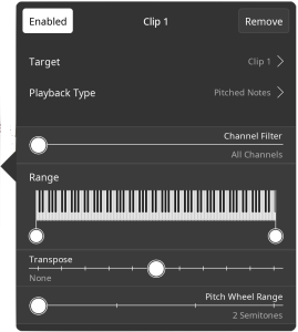Clip destination options panel
